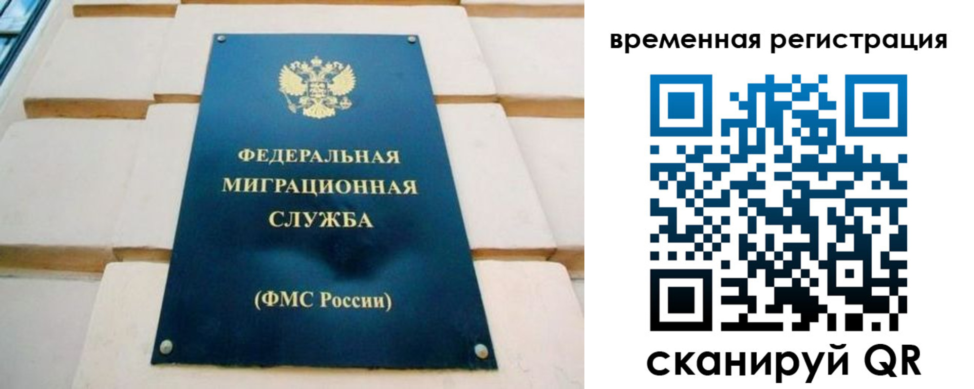 прописка гарантия в Светлограде